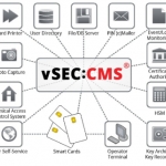 Vsec CMS